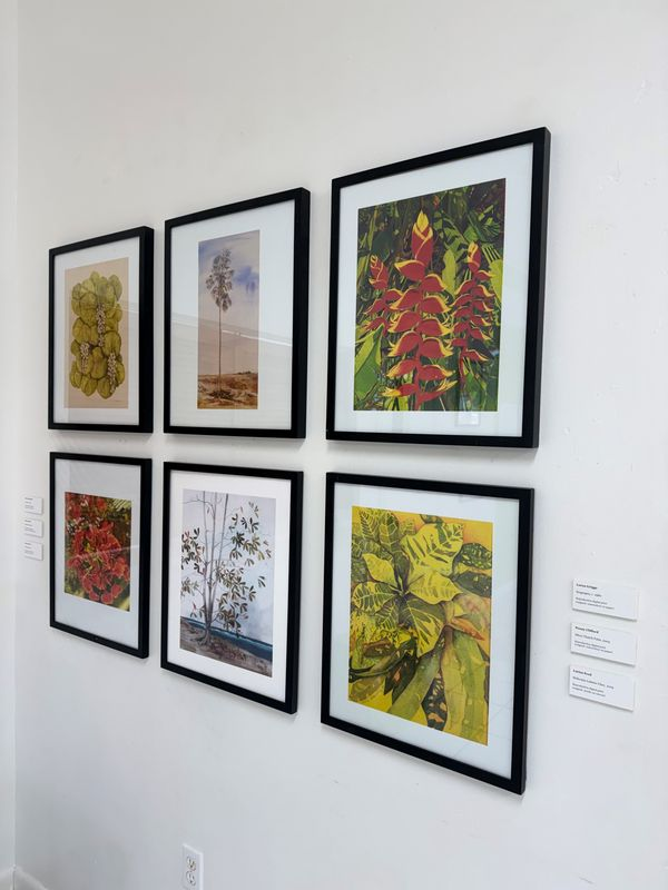 The exhibition at Cayman Brac Heritage House (Photo: National Gallery of the Cayman Islands)