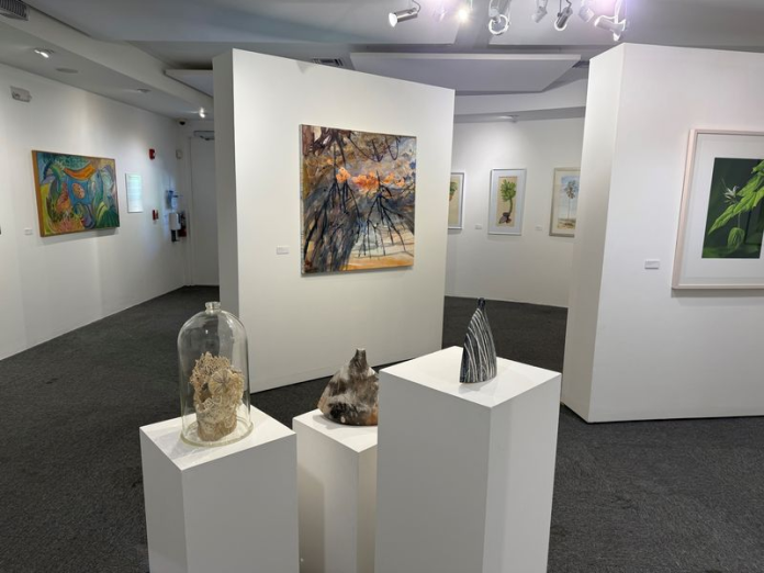 The Art of Nature exhibition on display at the National Gallery’s Dart Auditorium Community Gallery (Photo: National Gallery of the Cayman Islands)