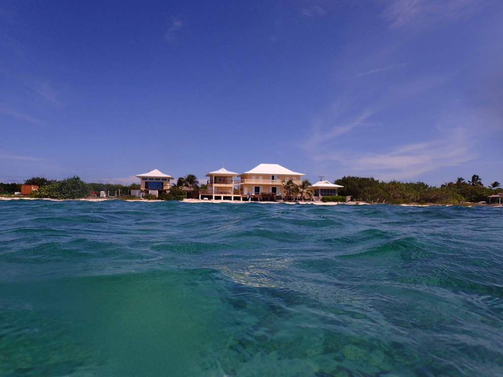 Roff will work from CCMI’s facility in Little Cayman (Photo: CCMI)