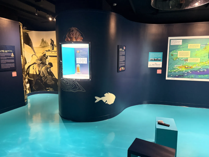 The exhibition aims to make the scientific findings accessible (Photo: Cayman Islands Museum)